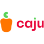 Relatório de SEO Gratuito 8 Caju